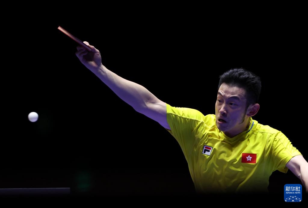 哥公牛的成 哥公牛的成