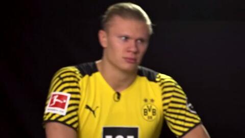 可以放大中 可以放大中